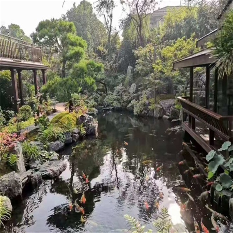 务川假山植物小鱼池